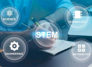 重庆引序科技 专业网站建设与网络技术服务领航者