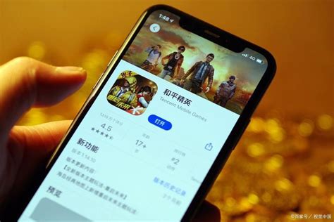 网络手游下载与厂家 技术服务的全面解析